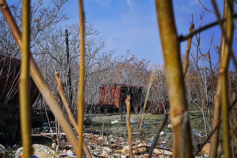  oldbutgold wish we have a  train... (Rayak, Béqaa, Lebanon)