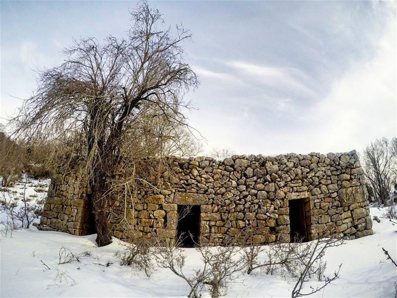  OldHouse  lebanonhouses @lebanonhouses  OldButGold  Hiking  JabalMoussa @j (Jabal Moussa)