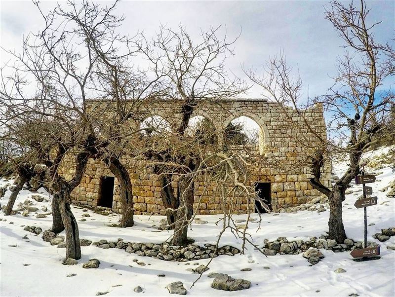  OldHouse  lebanonhouses @lebanonhouses  OldButGold  Hiking  JabalMoussa @j (Jabal Moussa)