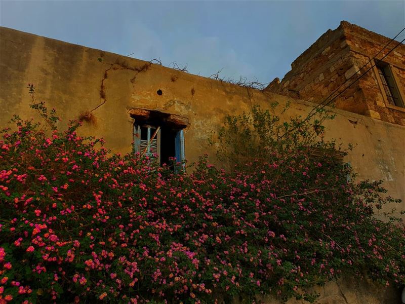  oldhouses  oldhouse  jbeil  byblos ... (Jbail, Mont-Liban, Lebanon)