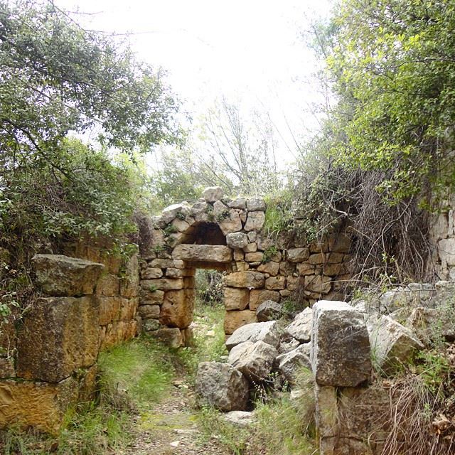 oldmonastery monastere abandoned ruin ruines stonewalls architecture archnaturenatureoflebanon whatsuplebanon