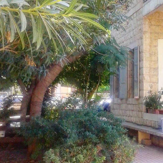 oldstonehouses natureverte greengarden stonehome lebanonhouses oldarchitecture greennature (Jounieh Libanon)