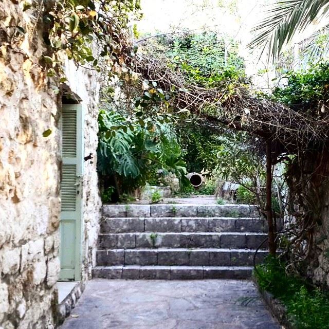 oldstonewall stonehome stairs nature plants