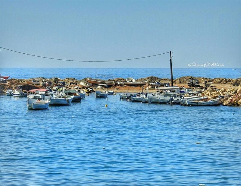 On a besoin de croire que ces bateaux sont prêts à nous emporter loin dans... (Al Mina - Tripoli)