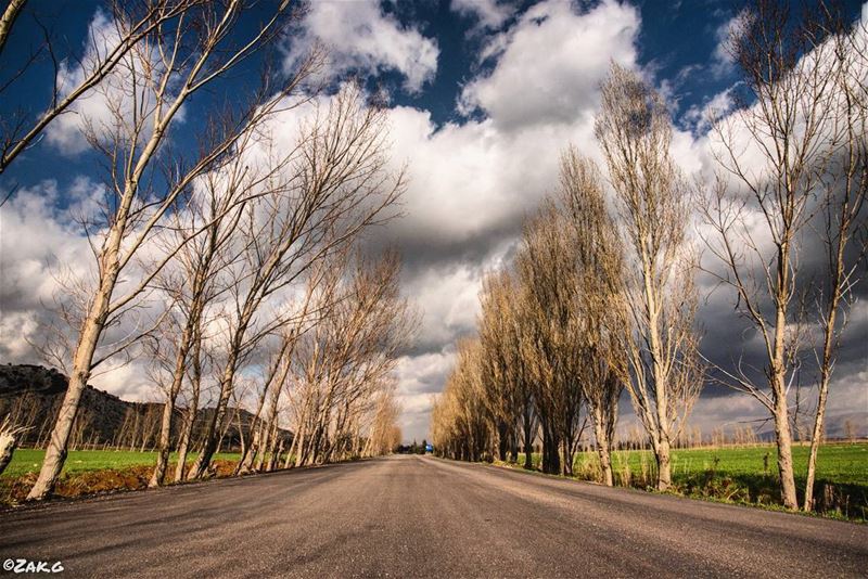 On a long and lonesome highway, west of bekaa, you can listen to the... (West Bekaa)