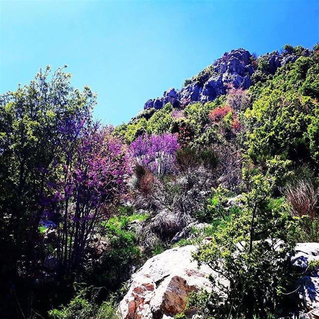 On a magical day! JabalMoussa  spotlight  livelovejabalmoussa ...