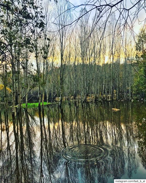 On  Earth there is no  Heaven ,but there are pieces of it........ (Aabdillé, Liban-Nord, Lebanon)