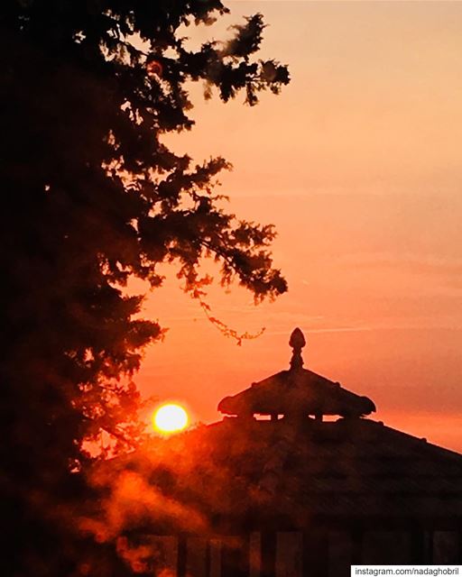 On Fire 🔥 miss summer  sunset  beauty ...