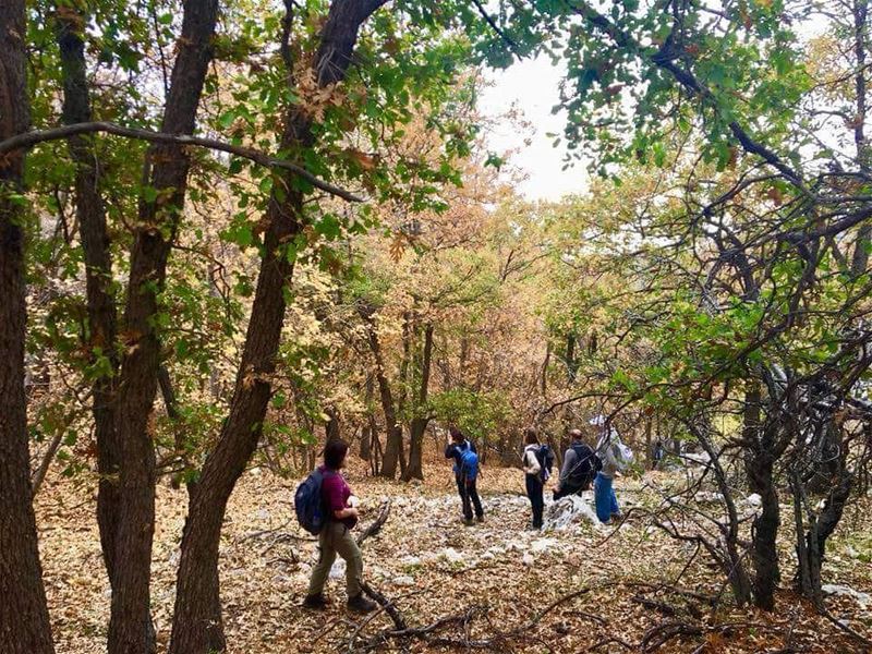 On Sundays, we hit the mountains. JabalMoussa  unescomab  unesco ...