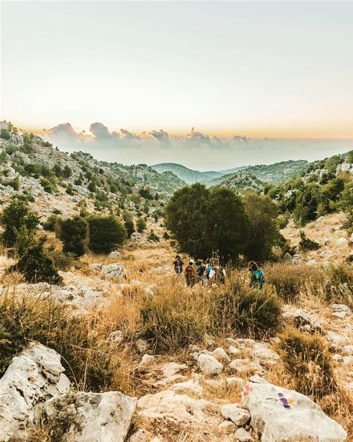 On the @lebanontrail Douma side trail. ... (Douma, Liban-Nord, Lebanon)