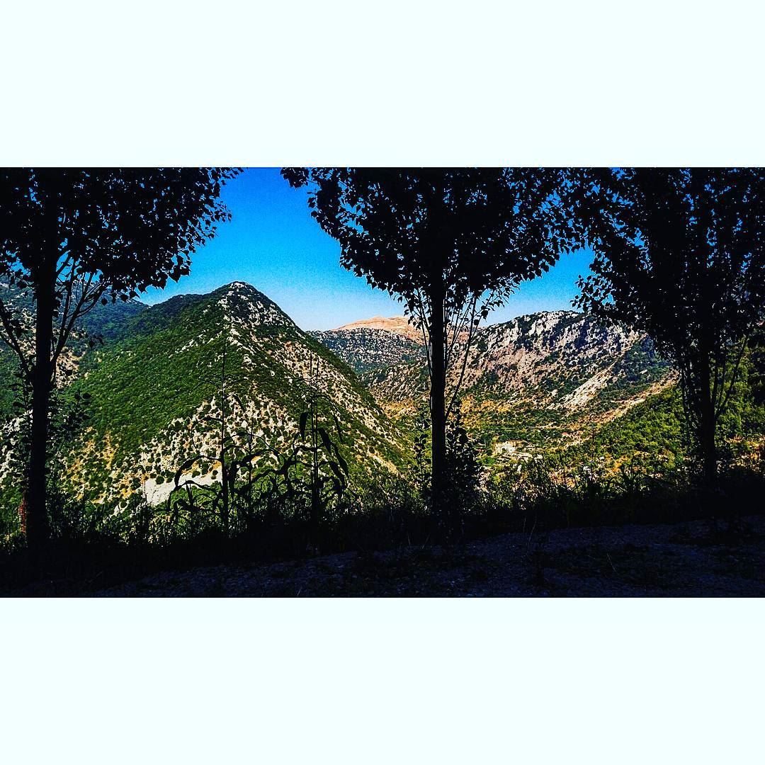 On the lookout for love. igersoftheday  igerbeirut  mountains  ptk ...