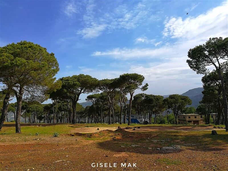 On the lookout for new adventures. mothernature  nature  naturelovers ... (Lebanon)