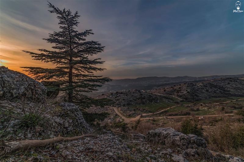 On the top!!!... (Cedars Ground Campsite)