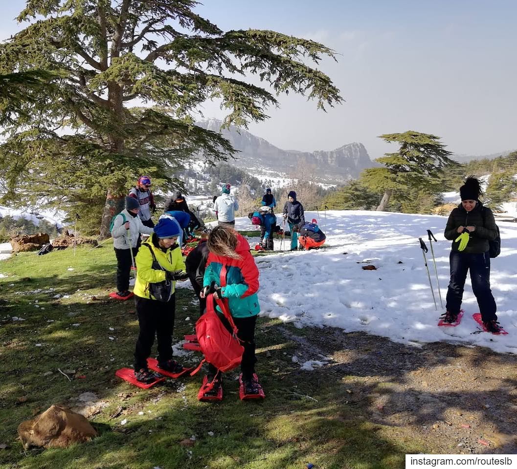 On the top of Niha ❄️🌲.. routes  peak  nihamointain  snowshoeing ... (Niha, Liban-Nord, Lebanon)