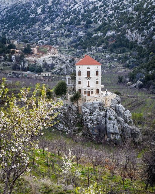 On the top of the rock! | A traditional Lebanese house, Tannourine LB ... (Jord Tannoûrîne)