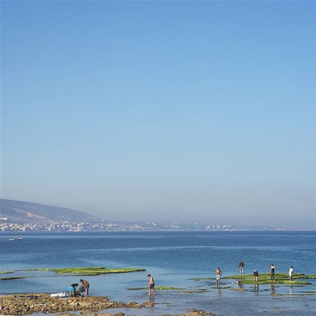 On their own island -  ichalhoub in  Tripoli north  Lebanon / ...