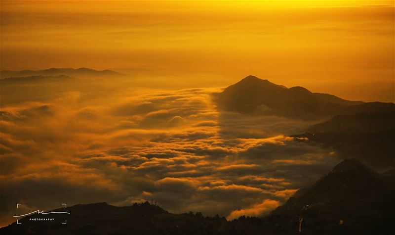 On top of a golden cloud 🌄 (Cedars of God)