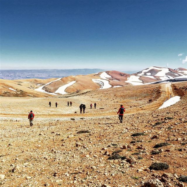 On top of the Levant 🏔️ hikers  hike  sports  outdoors  nature  peaks ... (Qurnat as Sawda')