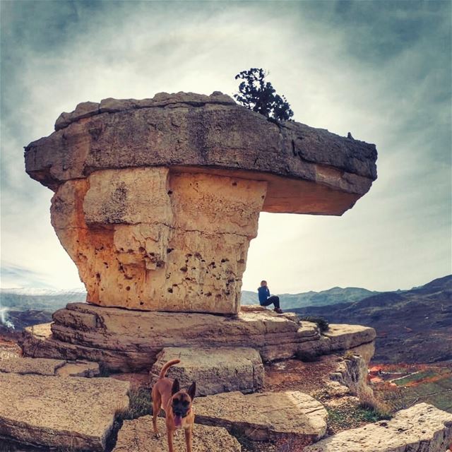 On top of the world 👱🏻‍♀️🐕🇱🇧 ...my 🌍 at least ☺️💚@trekkinglebanon... (North Governorate)