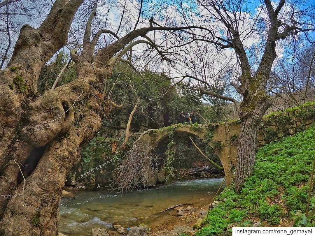 Once a year,  go some place u've never been before.... LebanonTimes ... (Chouf)