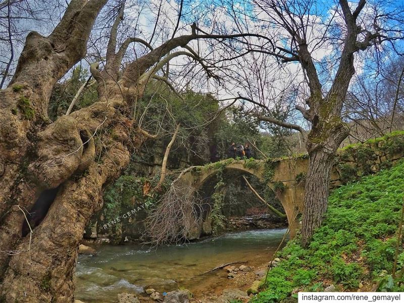 Once a year,  go some place u've never been before.... LebanonTimes ... (Chouf)