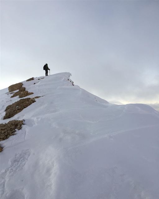 Once upon a cornice. ... snowcornice  ledge  crest  wind  windcornice ... (Mount Sannine)