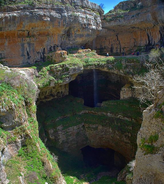 One additional reason to love my country and its nature! loves_lebanon ... (Tannourine - Balou' Balaa)