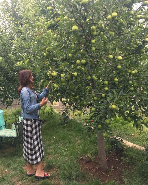 One apple a day 🍏🍏🍏.. lebanon lebanontraveler  lebanonspotlights ... (Lebanon)