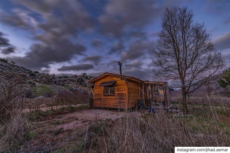 ‎One day; I will have my own cabinet in the Woods!!!🤓🤓... (Cedars Ground Campsite)