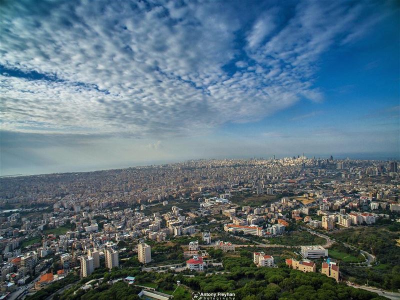 🔻One  Flag One  Land One  Heart One  Hand Happy  Independence Day 🇱🇧 ... (Beirut City Lebanon)