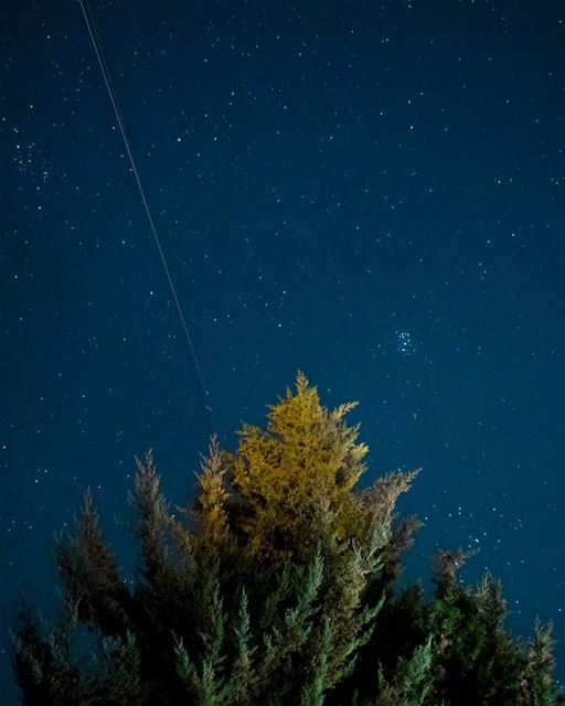 One of many Milky way failed attempts, this attempt was the least hideous... (Ehden, Lebanon)