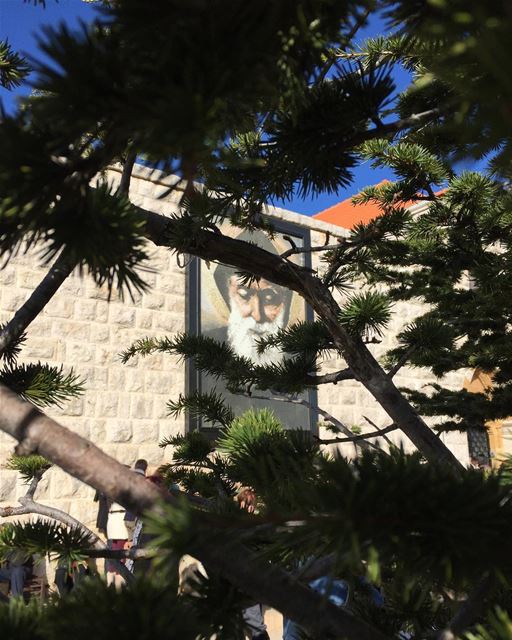 One of my favorite photos 🌳🙏Saint Charbel pray for us.. saint  charbel... (Mazar Saint Charbel-Annaya)