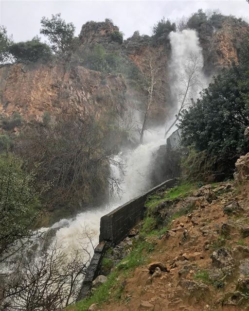 One of the biggest, fastest and craziest waterfalls I’ve ever seen 🤩 (North Governorate)