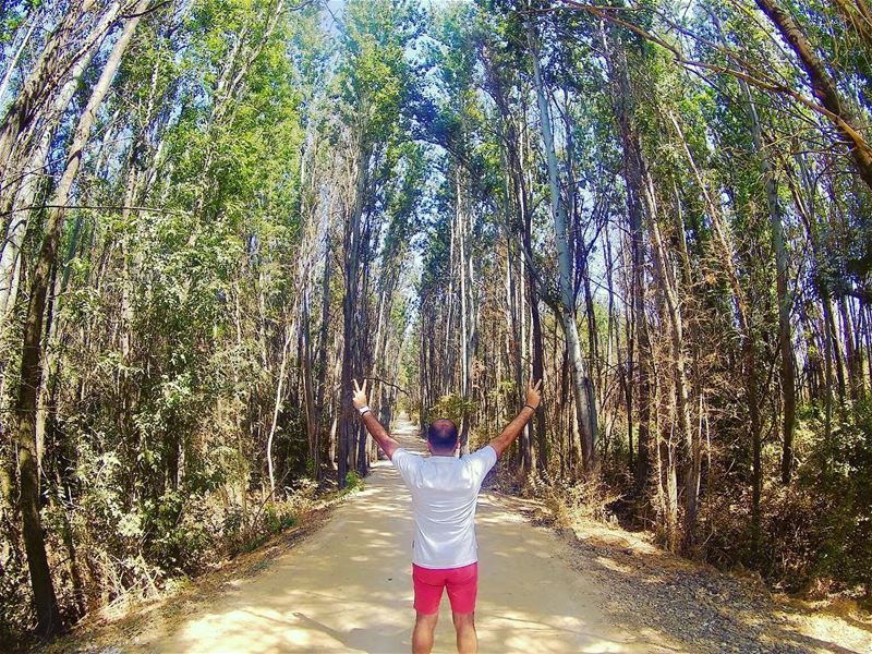 One of the few places where I feel free  freedom .... nature ... (Beqaa Valley)