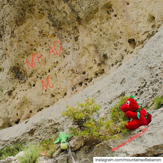 One of the largest Emperor Hadrian’s inscriptions found in the middle of... (Qamou'aa)