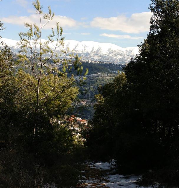 One of the main advantages offered by Lebanon is the fact that nature (moun (Deïr El Qamar, Mont-Liban, Lebanon)