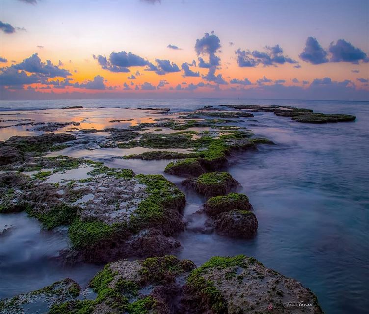 One of those sunsets where you are alone on the beach and when you wish it... (Anfeh Al-Koura أنفه الكورة)