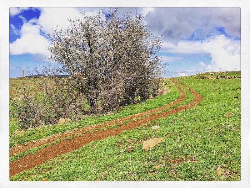 One way ticket to the blue...  lebanon  travel  nature ... (Tannourin)