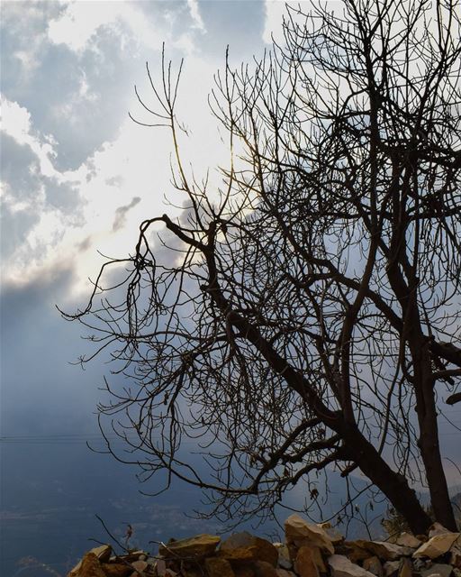One with the clouds ☁️ ... (Ehden, Lebanon)