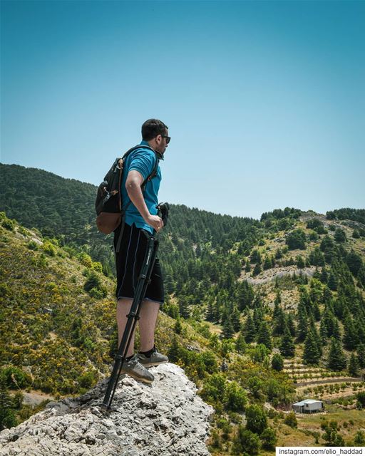 🇱🇧 📸: @oneplus  shotononeplus   AinZhalta  Cedar  LiveLoveLebanon ... (Aïn Zhalta, Mont-Liban, Lebanon)