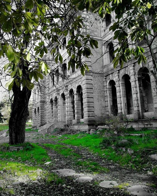 Only Green....  lebanon  lebanon_hdr  ig_lebanon  insta_lebanon ... (Sawfar, Mont-Liban, Lebanon)