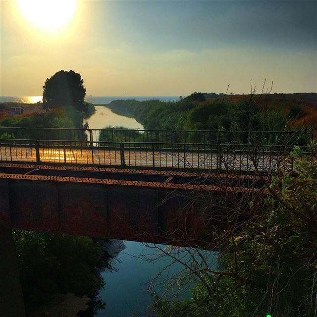 "Only love can create us a bridge of light" - Pink ...❤️🛤🎆 Good night my... (Damour, Lebanon)