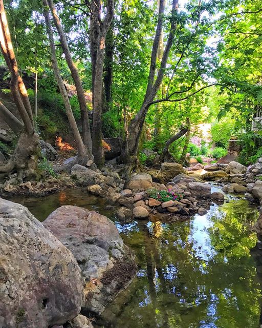 Only one who wonders, finds a new path 🌴🍀 ... (Baqâata, Mont-Liban, Lebanon)