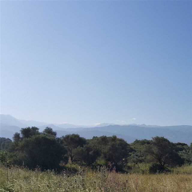 Only there, in the middle of the plains, sleeping under an olive tree,...