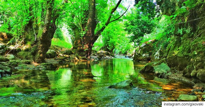 Only when you drink from the river of silence shall you indeed sing....... (Lebanon)