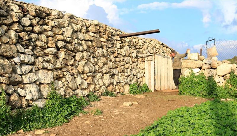 "Only when you realize that nature is your home, your spirit will blossom." (Henniyé, Al Janub, Lebanon)