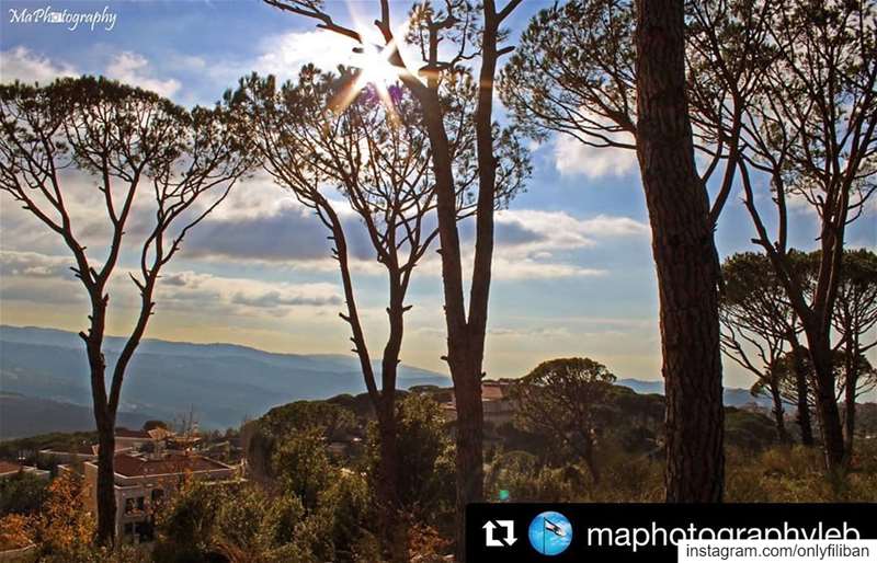  Onlyfiliban 🇱🇧 @maphotographyleb with @onlyfiliban ・・・Surrounded by... (Mar Musa, Mont-Liban, Lebanon)