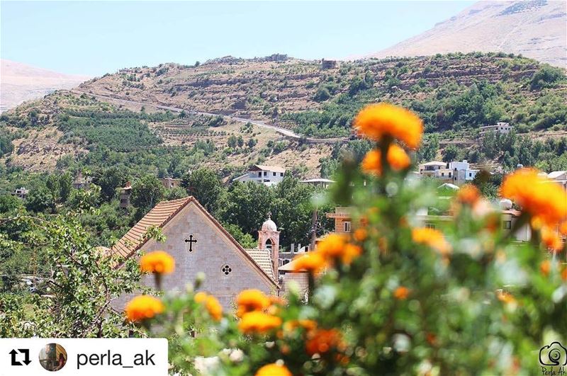  onlyfiliban  Repost @perla_ak (@get_repost)・・・Thank You  lebanon ... (Bekaa Kafra)