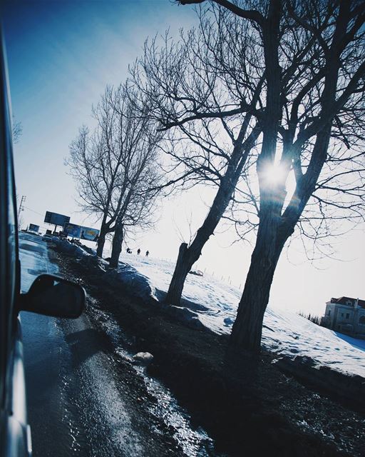  OnRoad 🌞 Morning  Lebanon  Nature  Spring  Sunnyday  Throwback ... (Faraya, Mont-Liban, Lebanon)