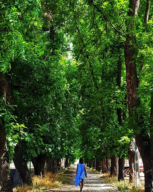 ⭕ or ♻️?  livelovebekaa ........ naturepainting  taanayel ... (Deïr Taanâyel, Béqaa, Lebanon)